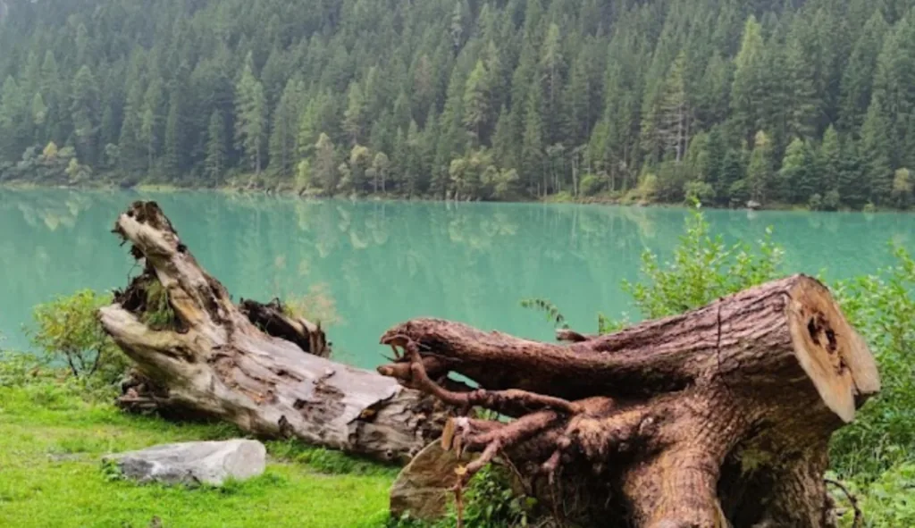 Stillup Stausee